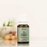 Aromatika Günlük Yağı Buhurdanlık Kokusu - Seçenek