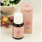 Aromatika Lotus -Buhurdanlık Kokusu (Difüzör Kokusu)