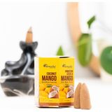 Aromatika Mango & Hindistan Cevizi Geri Akışlı Şelale Tütsü - Seçenek