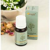 Aromatika Okaliptus - Buhurdanlık Kokusu (Difüzör Kokusu)