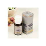 Aromatika Sandal Vanilya aromatik yağ difüzör ve buhurdanlık kokusu 10 ml