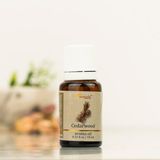 Aromatika Sedir Ağacı Buhurdanlık Kokusu - Seçenek