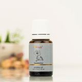 Aromatika Yasemin Uçucu Yağ Buhurdanlık Kokusu - Seçenek