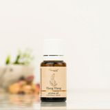 Aromatika Ylang Ylang Buhurdanlık Kokusu - Seçenek