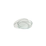 Aropi Plastik Gamma Steril 60 x 15 mm 10 Adet Petri Kutusu Kabı