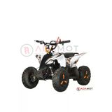 Arora Blade Elektrikli Atv 1000W 48V12ah 25 Km/H Çift Disk Fren 30-40 Km Menzil Elektrikli Atv Beyaz