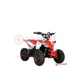 Arora Blade Elektrikli Atv 1000W 48V12ah 25 Km/H Çift Disk Fren 30-40 Km Menzil Elektrikli Atv Kırmızı