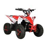 Arora Elektrikli 48V12AH Off Road Atv