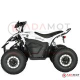 Arora Raptor Elektrikli Atv 1500W 72V20ah 45 Km/H Otomatik F/N/R 35-50 Km Menzil Arazi Atv Çift Disk Fren