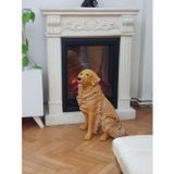 Arose Golden Köpek Dekor Biblo Heykel