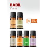 Aroviva Babil 6’lı Oda Kokusu Seti – Buhurdanlık Yağı, Difüzör Esansı ve Esansiyel Uçucu Yağ (10ML x 6) - Çok Renkli - Yoğun Esans