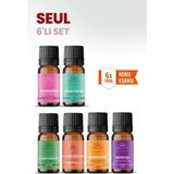 Aroviva Seul 6’lı Oda Kokusu Seti – Buhurdanlık Yağı, Difüzör Esansı ve Esansiyel Uçucu Yağ (10ML x 6) - Çok Renkli - Yoğun Esans