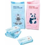 Arow Mini Cep Islak Mendili 8li M-643