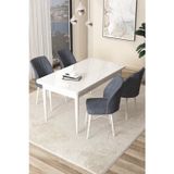 Arp Serisi 70x110 Sabit Mutfak Masası Takımı Beyaz Masa 4 Füme Sandalye