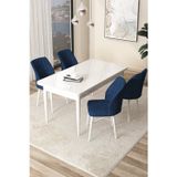 Arp Serisi 70x110 Sabit Mutfak Masası Takımı Beyaz Masa 4 Lacivert Sandalye