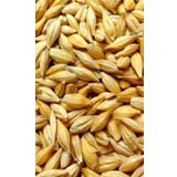 Arpa Naturel Yemlik 5 Kg Tavuk Tavşan Kaz Yemi