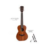 arpeggio ARTE UK02 Maun Concert Profesyonel Ukulele – Ahşap 23 inch Ukulele - Siyah Kılıf, Yedek Tel Dahil