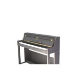 Arsenberg Rosewood Dijital Piyano ADP1988R