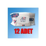 ART CARE Islak Mendil 90lı 12 Paket