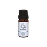 Art De Huile Tibbi Nane Ucucu Yagi 10 Ml