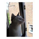 ART File 1x2 Metre Plastik Pencere Balkon Kuş Kedi Kümes Bahçe Tel Ağ Döküm Kopmaz Çürümez