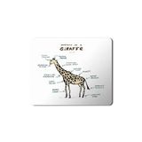 Art Hediye Zürafa Anatomi Giraffe Anatomy Baskılı 23x19 cm Mouse Pad