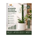 ART PINE Bitki Destek Çubuğu Premium Kalite Solmaz Dökülmez 60cm