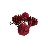 ART PINE Viral Asetat Kutuda 4 lü Renkli Simli Doğal Kozalak- Sparkle Işıltılı Natural Yılbaşı Süsü- Hobi