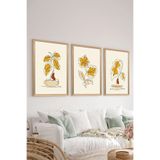 Artavessa 3 Parça Ahşap Çerçeve Görünümlü MDF Poster Tablo Seti - Set 107, 33 x 48