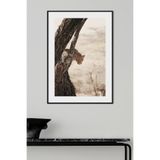 Artavessa Tek Parça Ahşap Çerçeve Görünümlü Pantene Renk Serisi MDF Tablo 33x48 cm - Model 8, 20 x 30