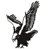 Artécora , Kartal Gökyüzündeki Asalet Metal Duvar Tablo