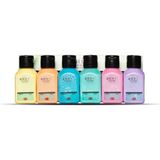 Artdeco 6 Renk Yıkanabilir Parmak Boyası 75 ml Pastel Renkler 1 Adet Karışık Renkler