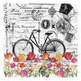 Artebella 5808V Home Design Kolay Transfer