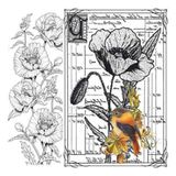 Artebella 5833V Home Design Kolay Transfer