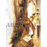 Artebella Kolay Transfer 1373V Ebru Boyası