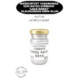 ArtElegant Sır Üstü Gümüş Yaldız Boya 50 gr (ÇİNİ-SERAMİK-CAM-PORSELEN VB.)