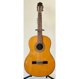 Artemis Profesyonel Klasik Gitar