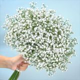 Artflower Babys Nefes Yapay Çiçekler, 12 Adet Bebek Nefes Çiçekleri Yapay Dökme, Sahte Beyaz Gypsophila Bebekler Nefes Düğün Buketi Çiçek Düzenleme Parti Ev Dekoru için Gerçek Dokunuş Çiçekleri