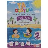 Artı Eğitim Yayınları 2.Sınıf Yaz Dostum Yaz Tatil Kitabı Tüm Dersler Seti