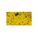 ARTI İLAÇLAMA 5adet Güve Feromon ve 10adet 60x30cm Yakalama Yapışkan Bant Tuzağı Çekici