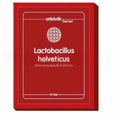Artıbiotik Lactobacillus Helveticus 30 Saşe