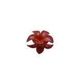 Artıbir Bodrum Lotus Mandal Toka