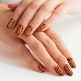 ARTİKEL Renkli Zebra Tırnak Dövmesi,Tırnak Tattoo,Nail Art ,Tırnak Sticker