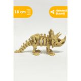 Artimon 3D Store Hareketli Triceratops 3D İskelet Dinozor | Oyuncak Dinozor | Dinozor Figür | İskelet Dinozor
