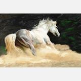 Artist AN-005 60x90 cm Kanvas Tablo