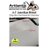 Artlantis A3 Amerikan Bristol Karton 29.7x42 cm 50 Adet 220 gr Bir Tarafı Parlak Bir Tarafı Mat Kağıt Biristol