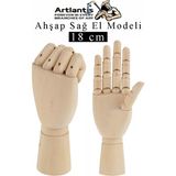 Artlantis Ahşap Sağ El Modeli 18 cm 1 Adet Sağ El Maketi Çoçuk Ahşap Manken Sağ El Parmak Model Hareketli Esnek Eskiz Çizim Boyama - Naturel - Standart