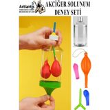 Artlantis Akciğer Solunum Deney Seti 1 Adet Kutulu Plastik Şişe Y Borusu Balon Tıpa Akciger Model Yapımı Deney Fen