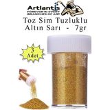 Artlantis Altın Sarı Toz Sim Tuzluklu 7 gr 3 Adet Renkli Toz Sim Epoksi Reçine Okul Etkinlik Dekarasyon Slime - Standart