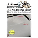 Artlantis Amerikan Bristol Karton 35x50 cm 10 Adet 220 gr Bir Tarafı Parlak Bir Tarafı Mat Kağıt Biristol Kart
